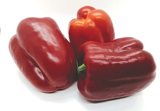 Poivron doux California Wonder 50 graines - Légume Capsicum annuum sans OGM, parfait pour la culture hydroponique, le conteneur, le patio et le champ ouvert 