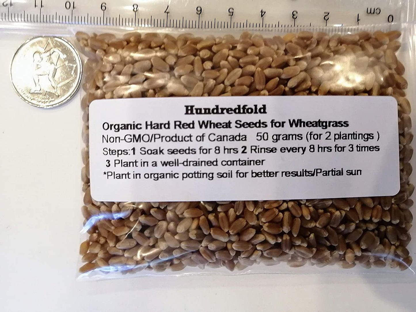 Graines de blé dur biologiques germées 50 grammes – Triticum, friandises saines sans OGM pour chatons et animaux de compagnie, herbe à chat, herbe de blé, herbe de blé pour chiens, lapins et cochons d'Inde, emballées et expédiées au Canada 