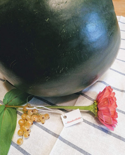 Pastèque bébé biologique au sucre centuple 50 graines - Citrullus lanatus Heirloom Fruits sucrés sans OGM 