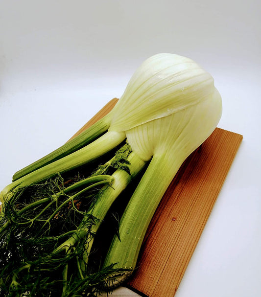 Perfection Fennel 100 Herb Seeds - Foeniculum vulgare Non-GMO Sweet Anise Bulb Forming Aromatic Plant, Excellent for Herb, Vegetable, and Butterfly Garden