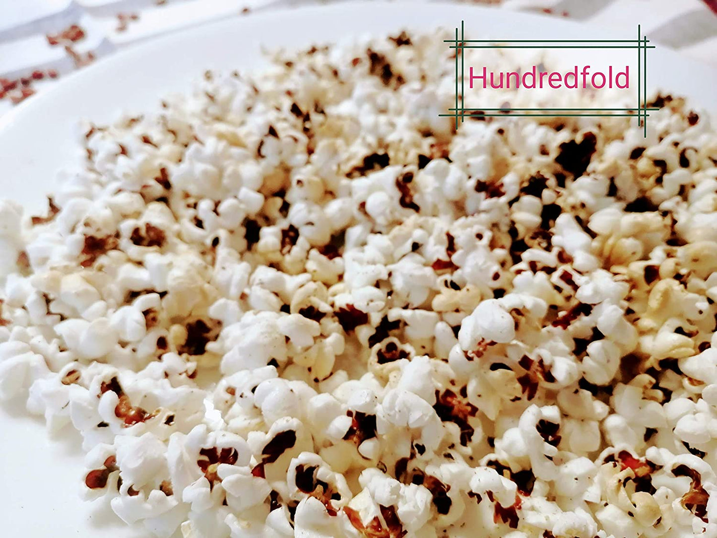 Graines de maïs soufflé aux fraises Hundredfold Pop Corn 200 pour la plantation - Graines de maïs rouge rubis Heirloom non OGM Zea mays Épis décoratifs pour l'affichage d'automne ou utilisés pour faire pousser des micro-pousses/pousses 