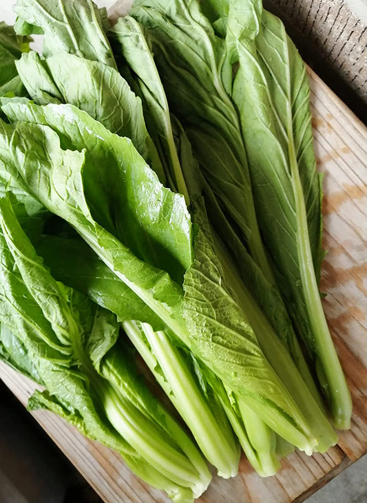 Graines de moutarde à feuilles larges de Floride au centuple 500 graines de légumes - Brassica juncea Salades vertes sans OGM 