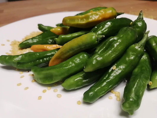 Graines de légumes biologiques de piment shishito japonais - Capsicum annuum - Sans OGM, pour jardin, terrasse ou potager