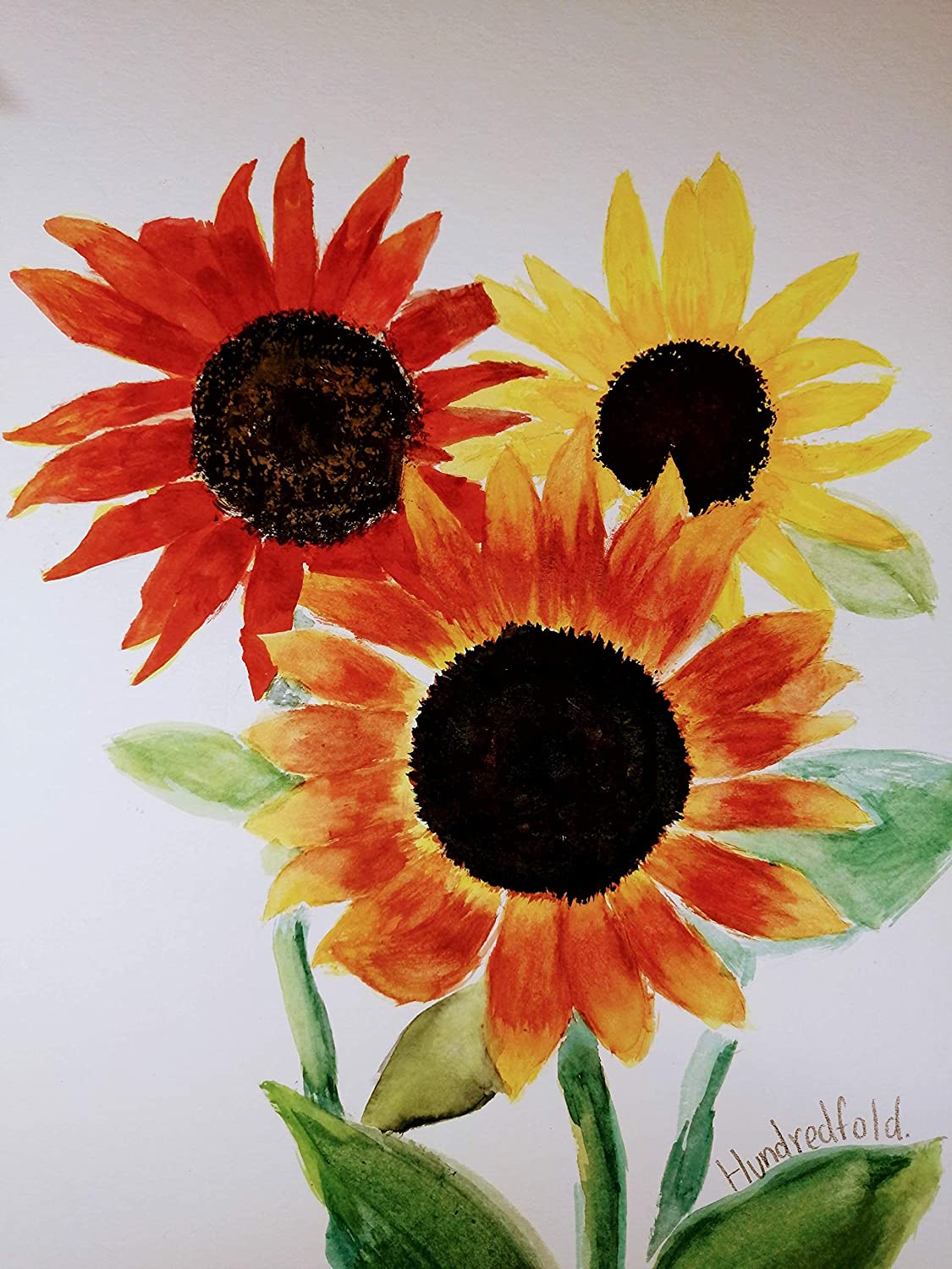 Autumn Beauty Mix Sunflower 30 Seeds - Non-GMO Multi-Branching Sunflower Best for Fall Display, Cut Flowers & Bee Gardens