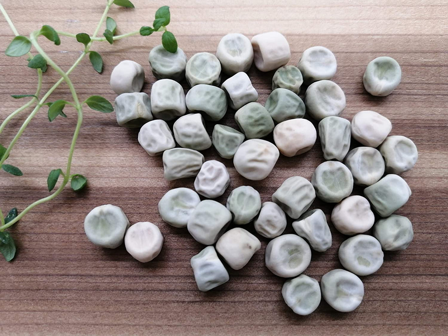 Hundredfold Sugar Ann Snap Pea 50 graines de légumes - Pisum sativum Dwarf Vine, sans OGM, pour la plantation en conteneur, sur le patio ou dans le champ, emballées et expédiées au Canada 
