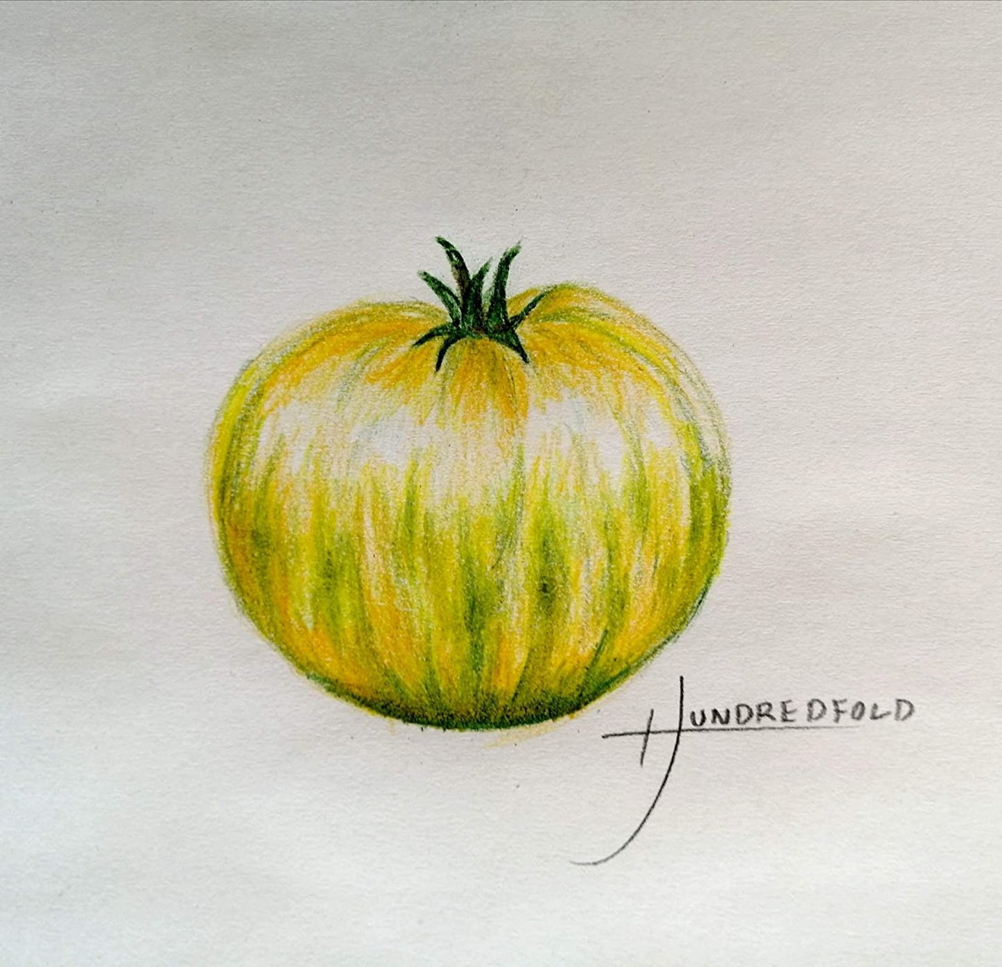 Tomate verte centuple à trancher, 50 graines - Sans OGM, pollinisation libre, beaux fruits jaunes à rayures vertes, excellents pour les salades et les hamburgers 