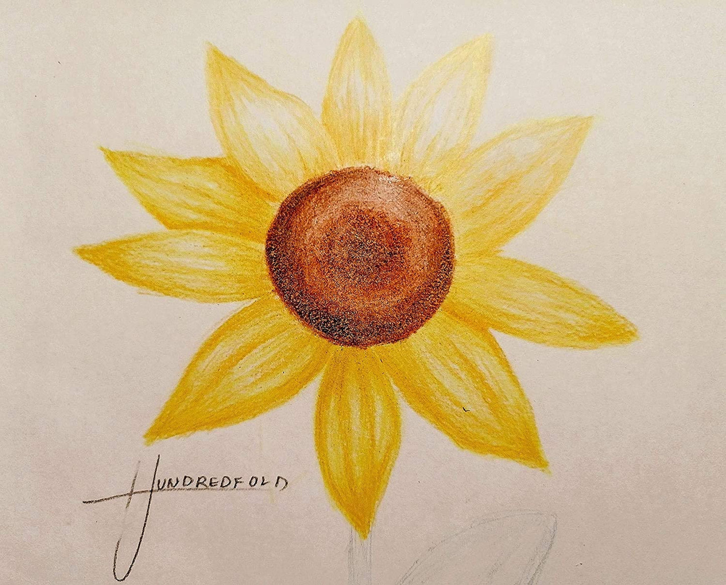 Hundredfold Lemon Queen Sunflower 30 Flower Seeds - Helianthus annus Attract Bees and Birds, Cut-Flowers