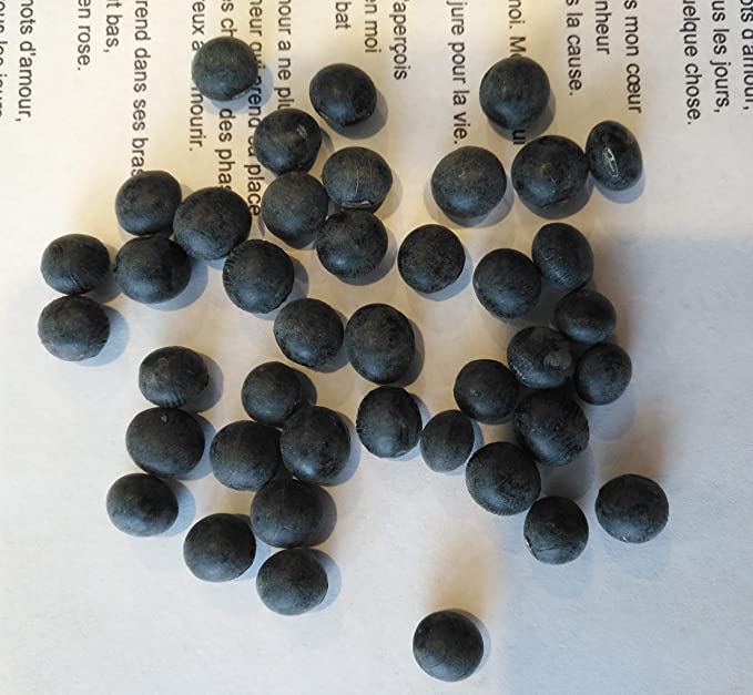 Graines de soja Tankuro sans OGM au centuple 20 graines - Edamame noir, savoureux et nutritif, pour la plantation en conteneur, sur la terrasse et dans le jardin 