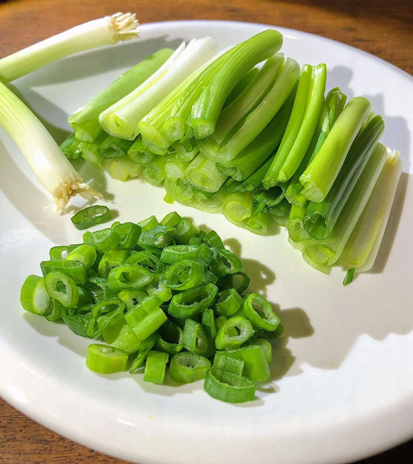 Oignon vert à tige blanche persistante japonaise au centuple 1000 graines - Allium fistulosum sans OGM, oignon à botteler pour salade ou sauté 