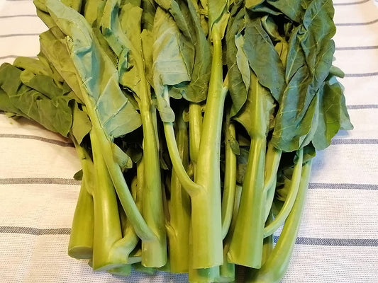 Brocoli chinois Kailaan au centuple, chou frisé chinois 200 graines de légumes - Brassica oleracea GAI LAN ou Kai LAN Légumes verts asiatiques non OGM 
