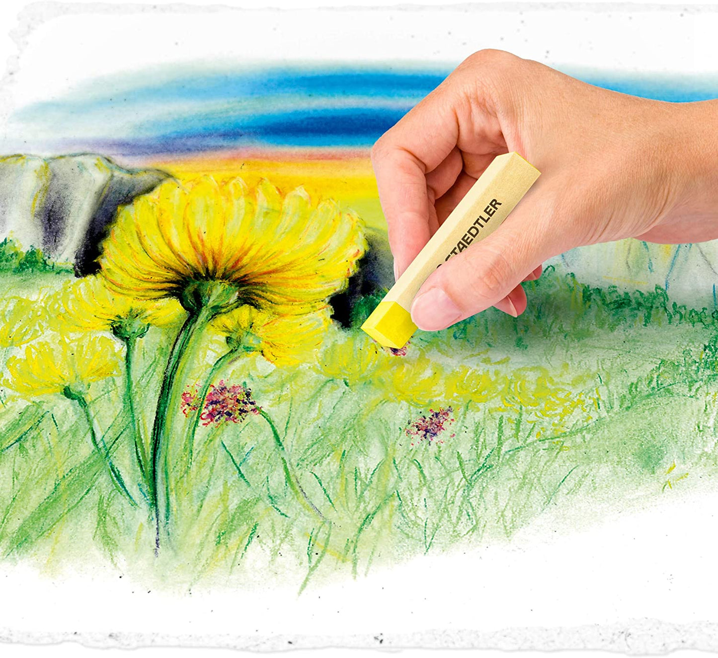 Craies pastel tendres Staedtler Karat Premium Quality, lot de 12 couleurs (2430C12) 