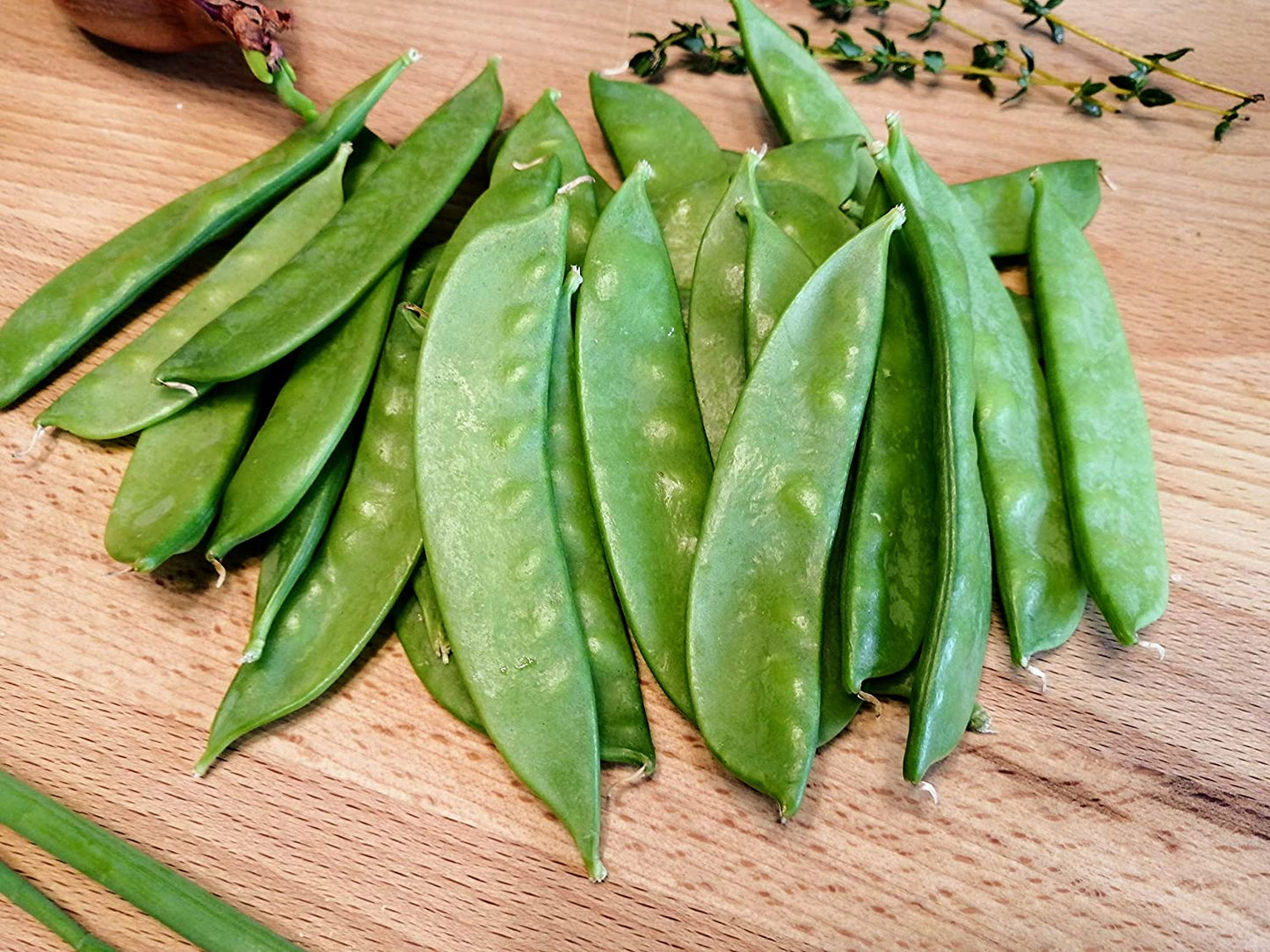 Hundredfold Oregon Giant Snow Pea 50 Vegetable Seeds - Pisum sativum Sweet & Crisp Pods