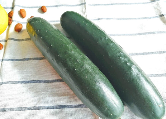 Concombre à trancher à pollinisation libre Hundredfold Marketmore 76 50 graines de légumes - Cucumis sativus Sans OGM, saveur classique et rendement élevé 