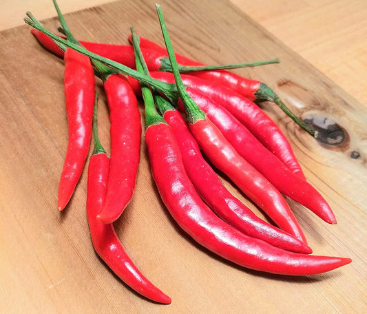 Piment thaï biologique Hundredfold 20 graines - Capsicum annuum Piment non OGM, ornemental et comestible, conteneurs ou jardins de terrasse 