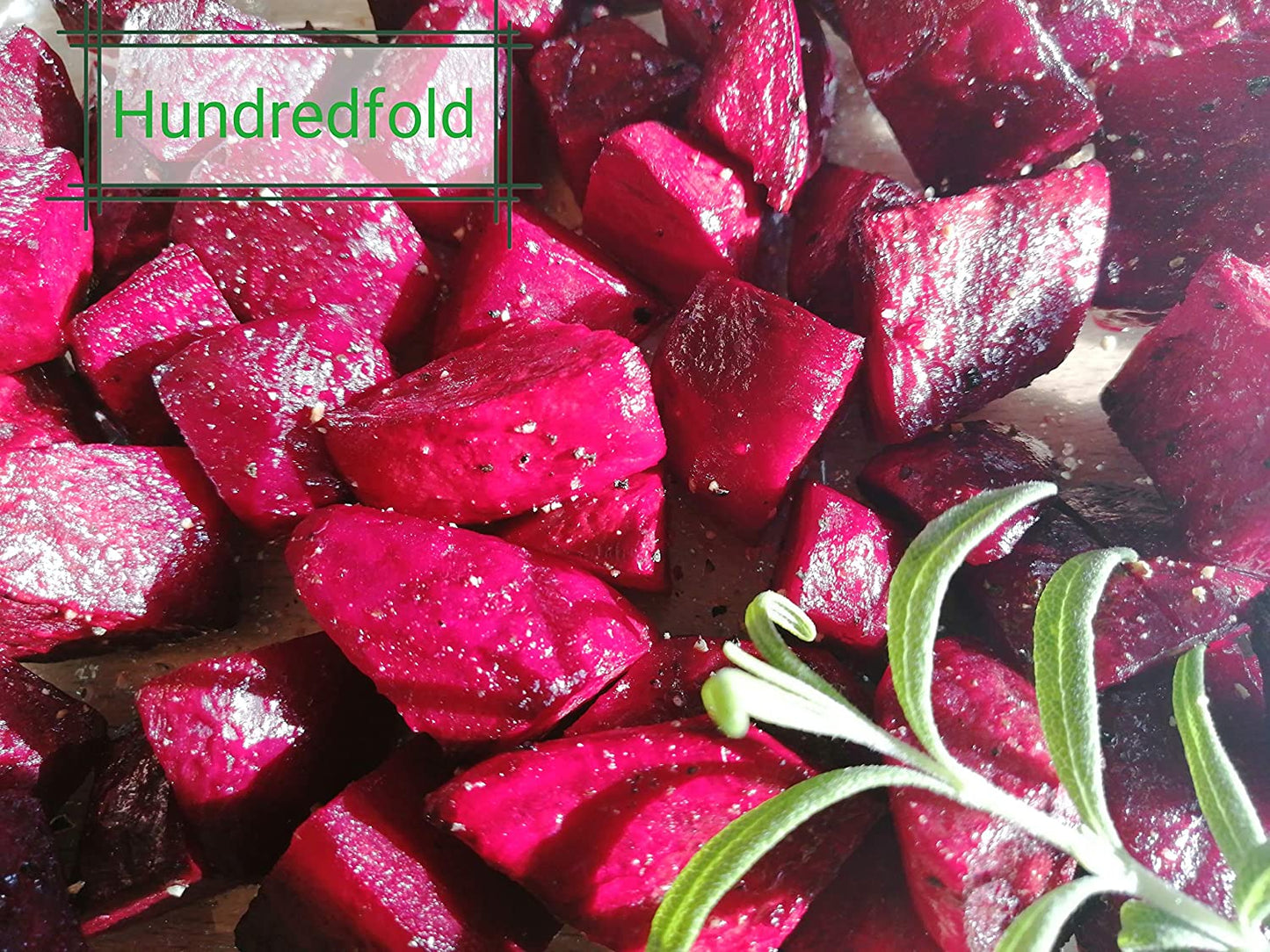 Hundredfold Organic Bull’s Blood Beet 200 Seeds - Beta vulgaris Non-GMO Bulls Blood Heirloom Beetroot Excellent for Micro-Greens, Baby-Leaves or Roots, for Container, Yard or Garden Planting