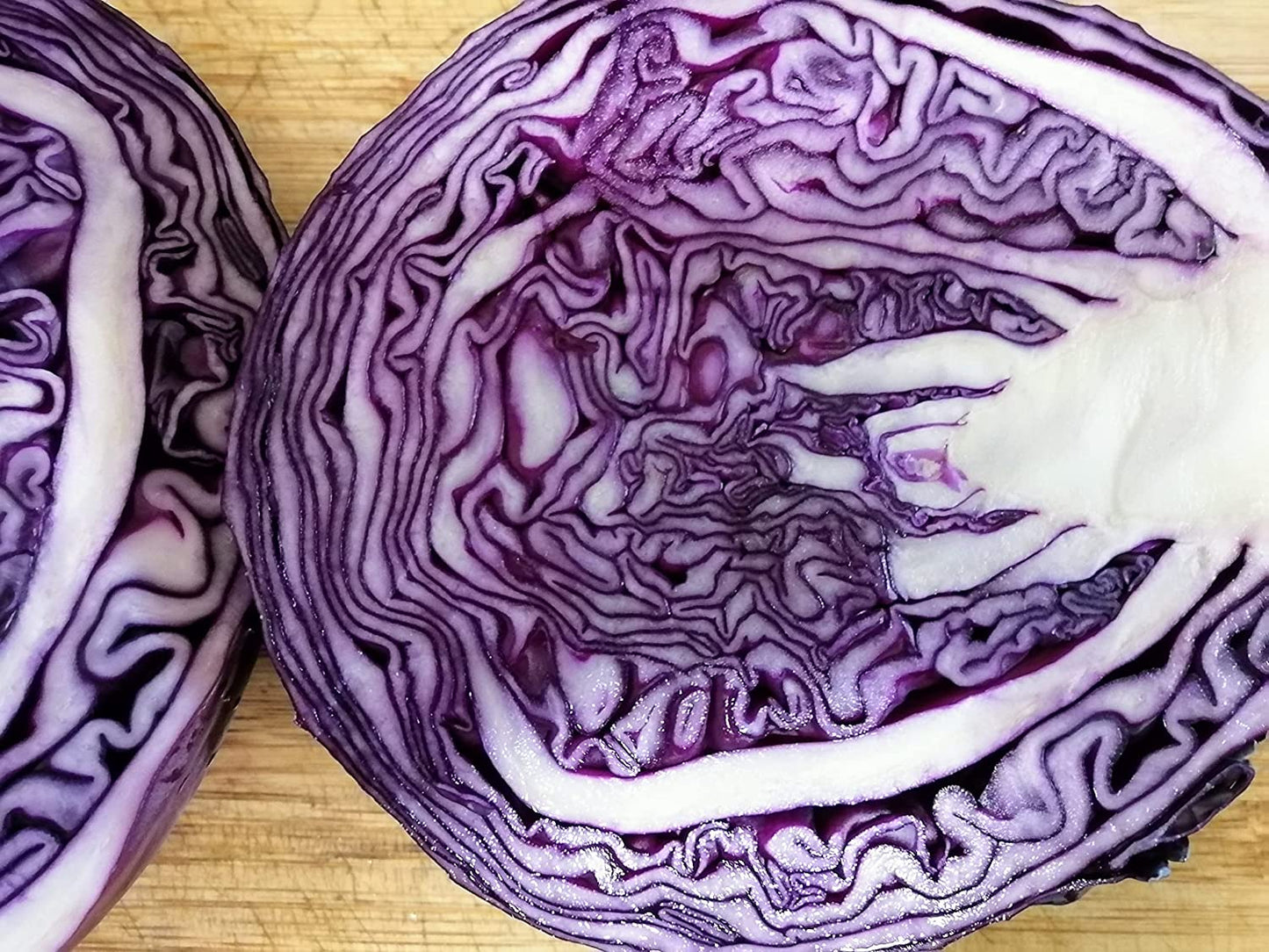 Hundredfold Red Acre Cabbage 500 Vegetable Seeds - Brassica oleracea Non-GMO Good for Storage Small Cabbage, Perfect for Containers & Small Space