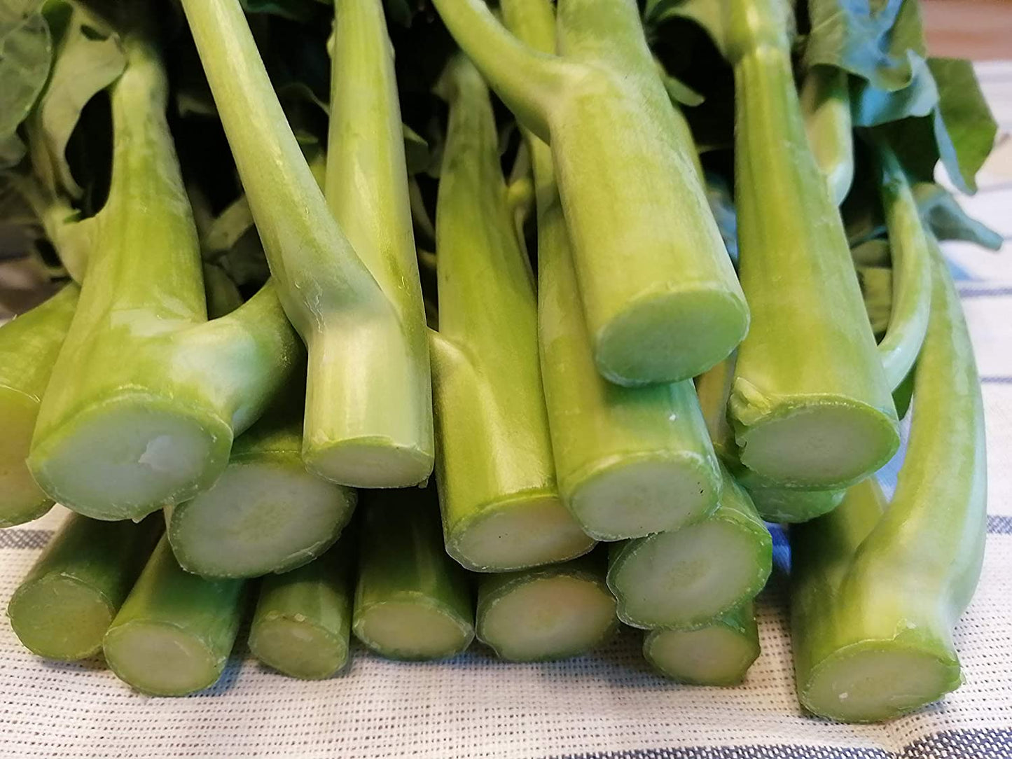 Brocoli chinois Kailaan au centuple, chou frisé chinois 200 graines de légumes - Brassica oleracea GAI LAN ou Kai LAN Légumes verts asiatiques non OGM 