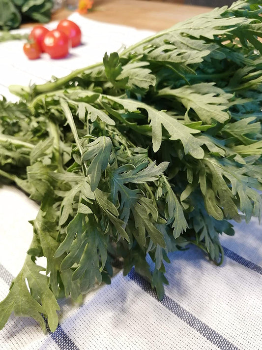 Guirlande cent fois chrysanthème Shungiku 1000 graines - Tong Hao, Chop Suey vert, couronne marguerite, vert asiatique aromatique sans OGM 